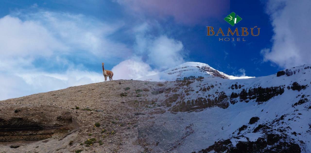 Hotel Bambu Ріобамба Екстер'єр фото